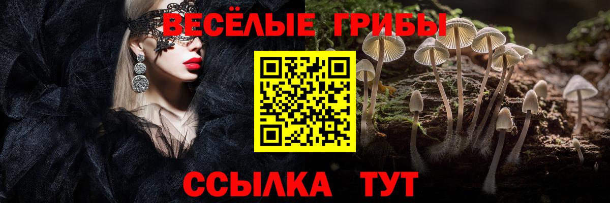 Чебоксары  Псилоцибиновые грибы Psilocybine cubensis  Вход с VPN  Галлюциногенные грибы прущие грибы 
